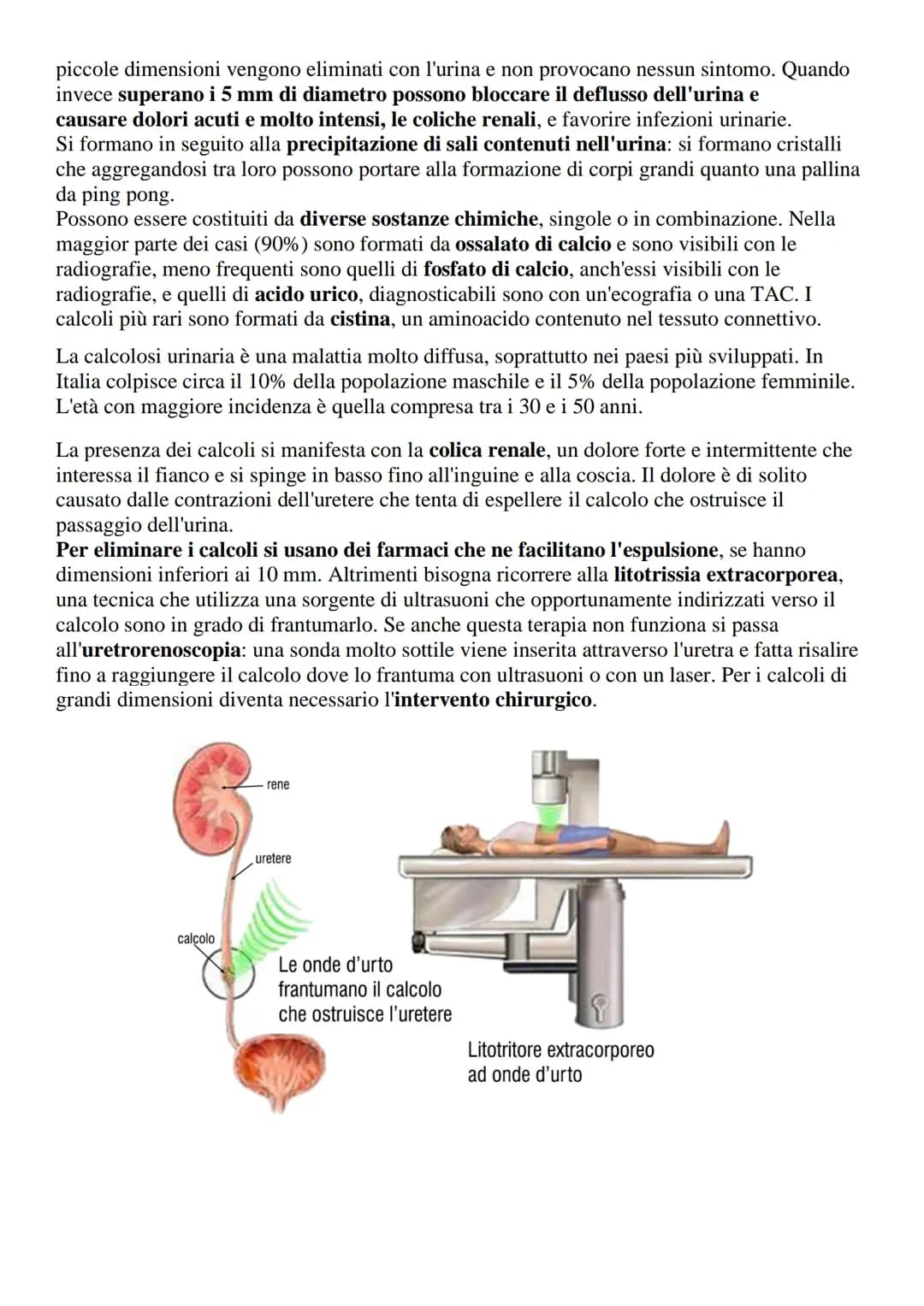 # Apparato urinario o escretore
L'apparato urinario (o escretore) è l'insieme degli organi e delle strutture il cui compito
è quello di fil