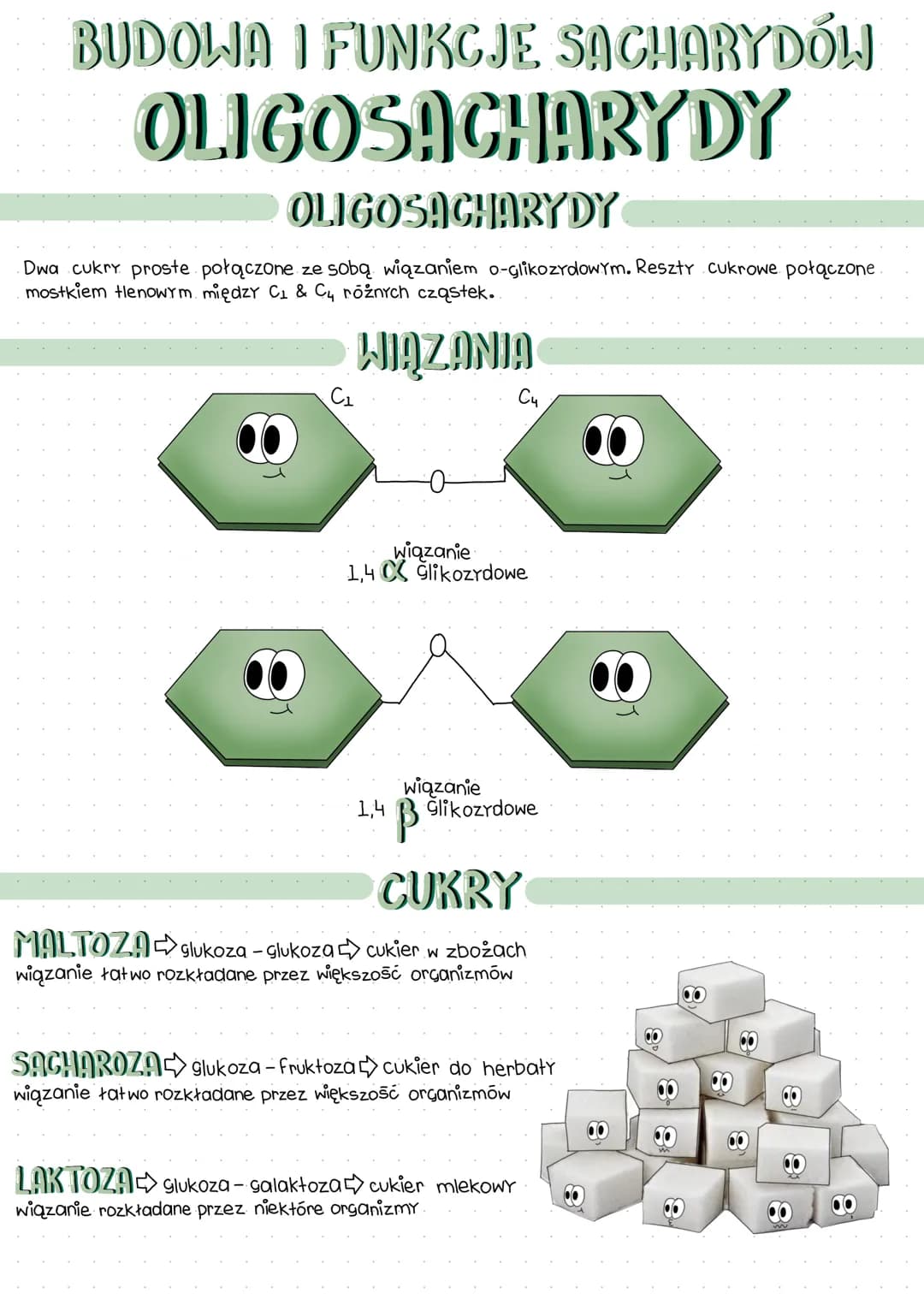 # BUDOWA I FUNKCJE SACHARYDÓW
# MONOSACHARY DY
WYRÓŻNIAMY...
63 trioza aldechyd 3P glicerynowy
PGAL produkt ostateczny fotosyntezy, prod