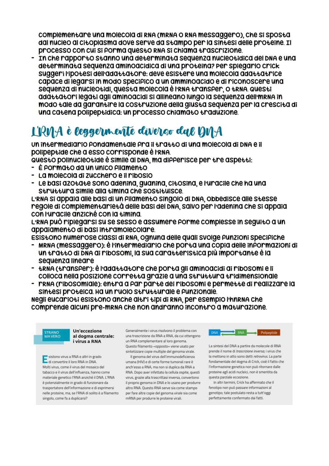 # L'espressione genetica: dal DNA
alle proteine
è descritta con
l'espressione «un gene,
un polipeptide>>>
LEZIONE 1
La relazione tra DNA