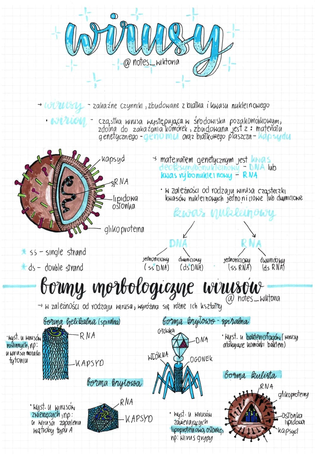 # wirusy
@notes_wiktoria
wuusy-zakaźne czynniki, zbudowane z białka i kwasu nukleinowego
•wirion cząstka wirusa występująca w środowisku