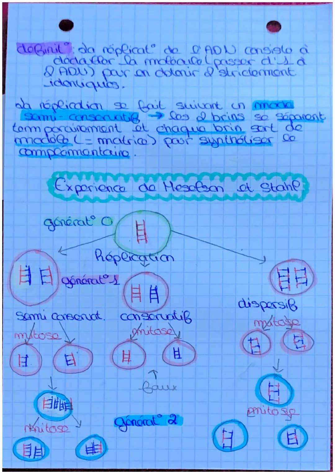 - S.U.T.
Lda mitose
dófinil: roproduct conforme
d'une collite en 2 collues
ayant le m caryotype et lo
m programme ganolique.
2º est conser