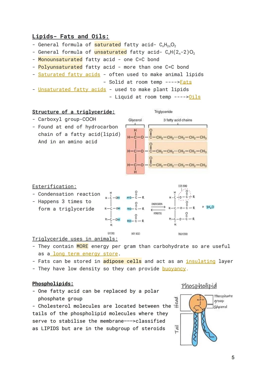 WJEC-A Level Biology-Unit 1.11 Basic Biochemistry and
Cell Organisation
Organic Molecules:
The importance of carbon:
- Can form 4 bonds
-