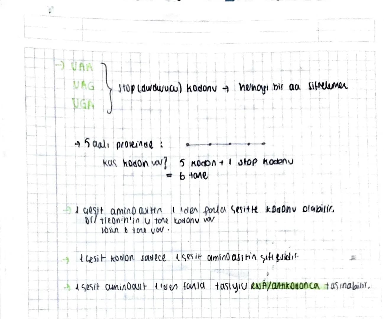 hidioli? Ju ve enumie eres, hocamaron ayristImG
dehidrasyoneresi nocair
GENETIC SIFRE ve PROTEIN SENTEU
4 gesit nukleotit
4 gesit nokl. la
