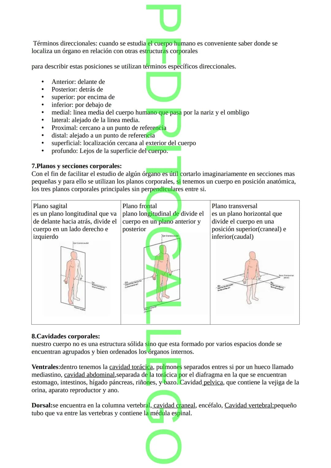 RESUMEN DE ANATOMÍA
PED
1. Definición de anatomía y fisiología
ANATOMÍA: Estudio esquemático del cuerpo humano y todas las partes que lo com