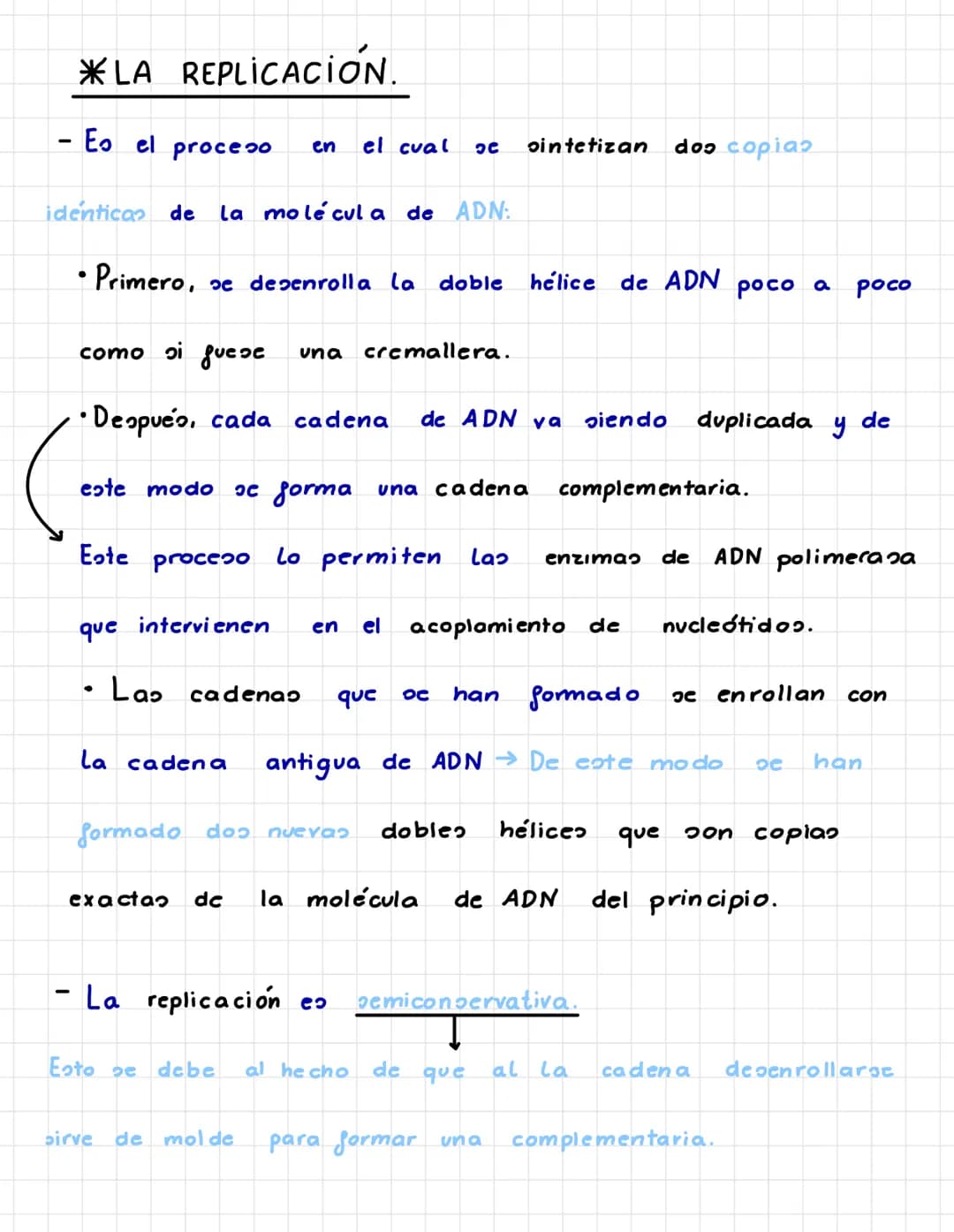 P.3. LA TRANSMISIÓN DE LA
INFORMACIÓN GENÉTICA.
* EL CICLO CELULAR. –
• INTERFASE.
- Larga etapa que pasa La célula en la cual crece, duplic