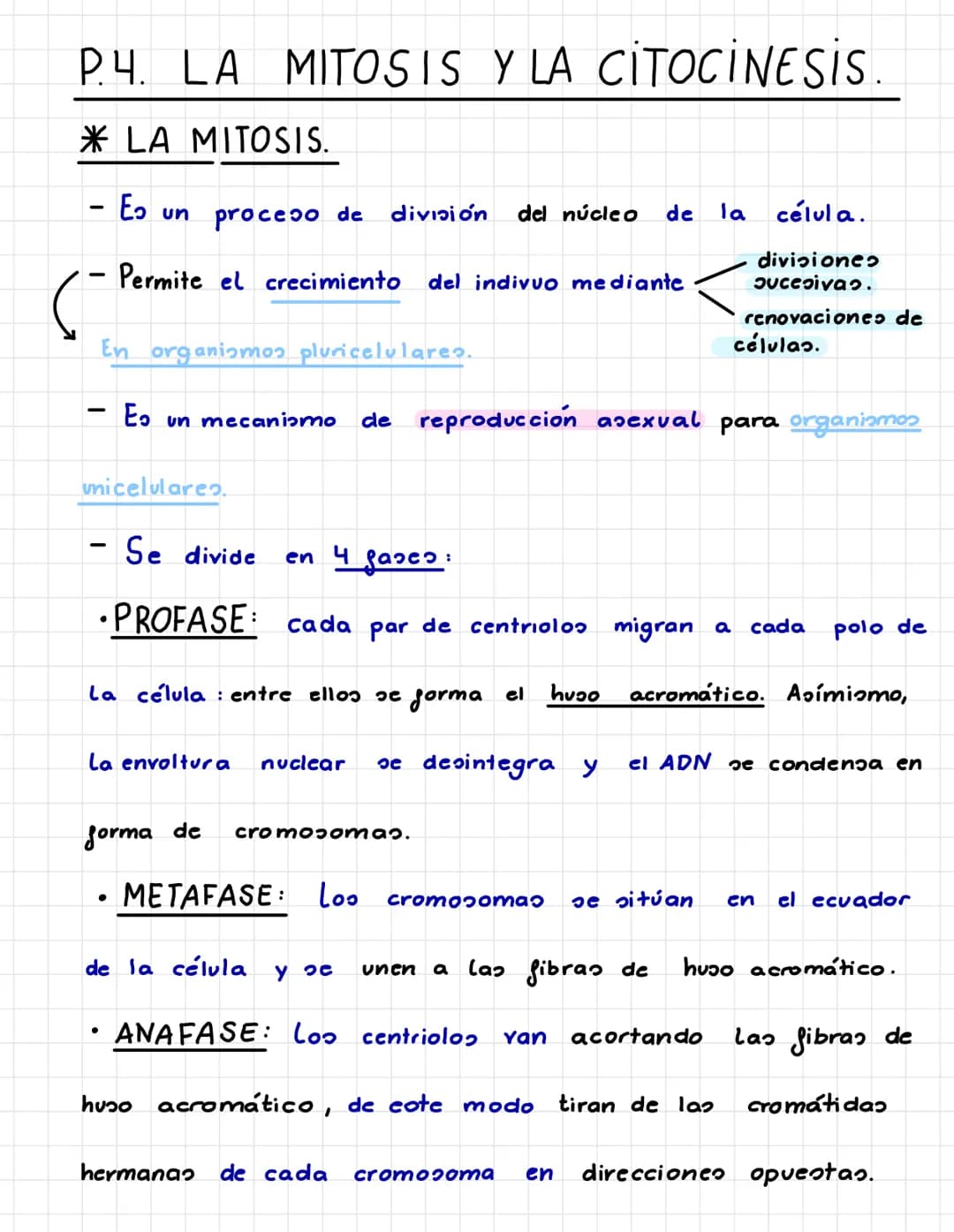 P.3. LA TRANSMISIÓN DE LA
INFORMACIÓN GENÉTICA.
* EL CICLO CELULAR. –
• INTERFASE.
- Larga etapa que pasa La célula en la cual crece, duplic