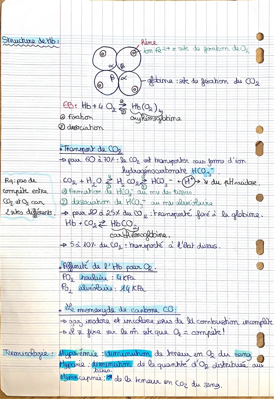 chap 2
i
physiologie du syst-respi-
Les échanges gazeux au my des alvéoles grâce à la
circulation pulmonaire
Dau me des cellules grâce à