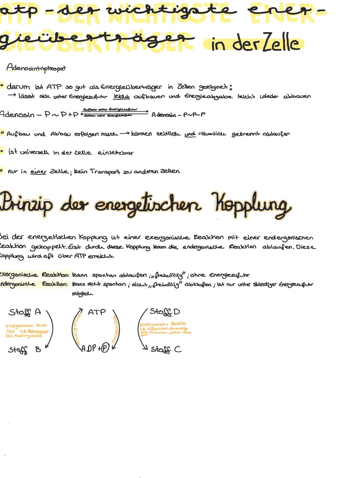 # atp-der wichtigste ener-
gieüberträger in der Zelle
Adenosintriphospat
• darum ist ATP so gut als Energieüberträger in Zellen geeignet: