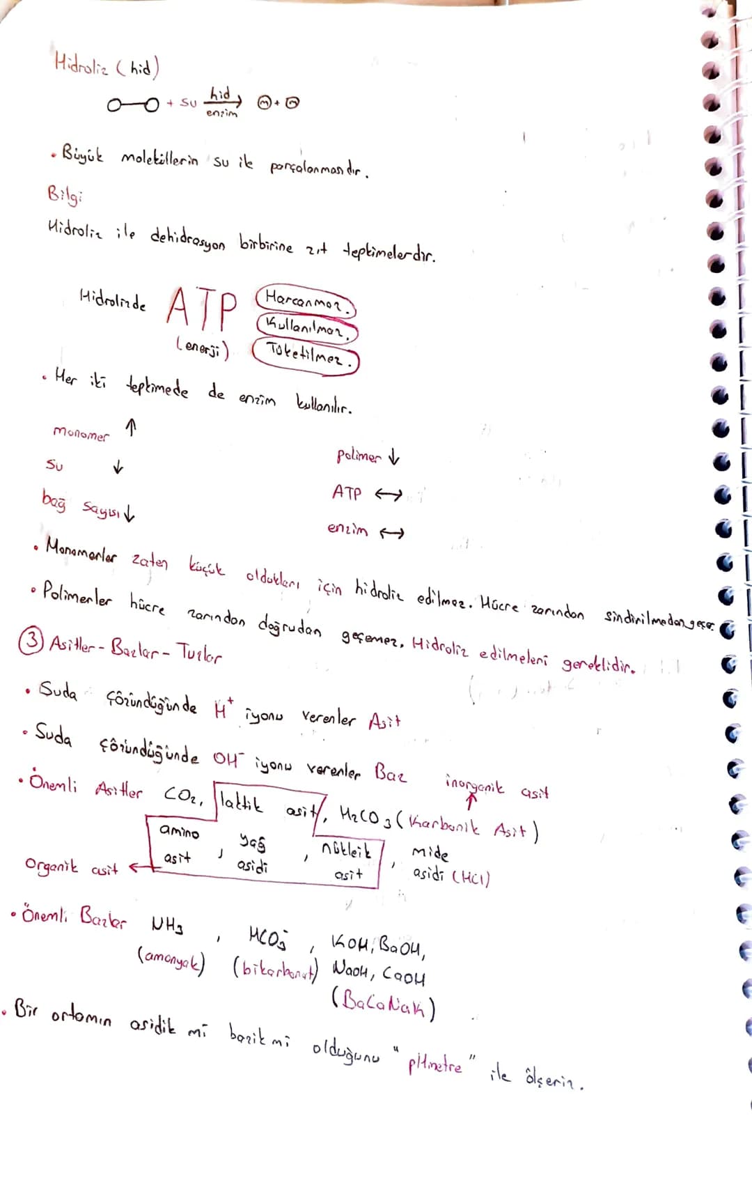Canlıların Temel Bileşenleri
Organik + inorganik canlı
@inongonik
• Sis (H2O)
• Asit-Baz-Tuz
Mineraller
CTB
Organik
Karbonhidratlor
Lipi