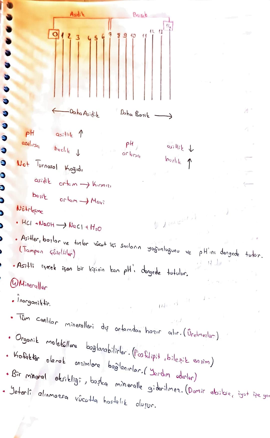 Canlıların Temel Bileşenleri
Organik + inorganik canlı
@inongonik
• Sis (H2O)
• Asit-Baz-Tuz
Mineraller
CTB
Organik
Karbonhidratlor
Lipi