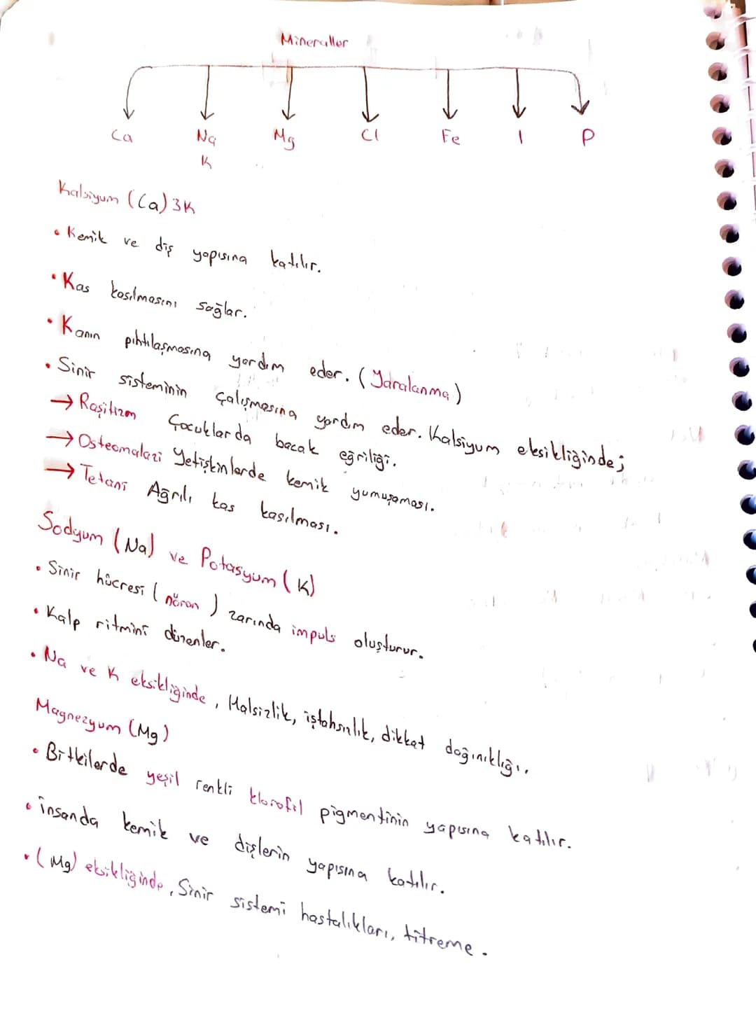 Canlıların Temel Bileşenleri
Organik + inorganik canlı
@inongonik
• Sis (H2O)
• Asit-Baz-Tuz
Mineraller
CTB
Organik
Karbonhidratlor
Lipi