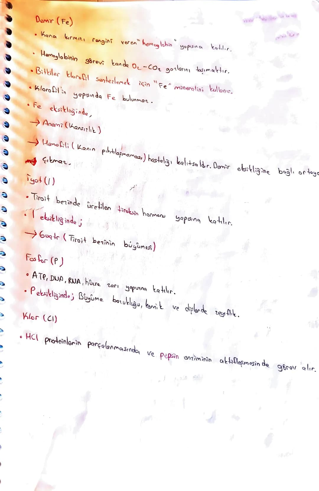 Canlıların Temel Bileşenleri
Organik + inorganik canlı
@inongonik
• Sis (H2O)
• Asit-Baz-Tuz
Mineraller
CTB
Organik
Karbonhidratlor
Lipi