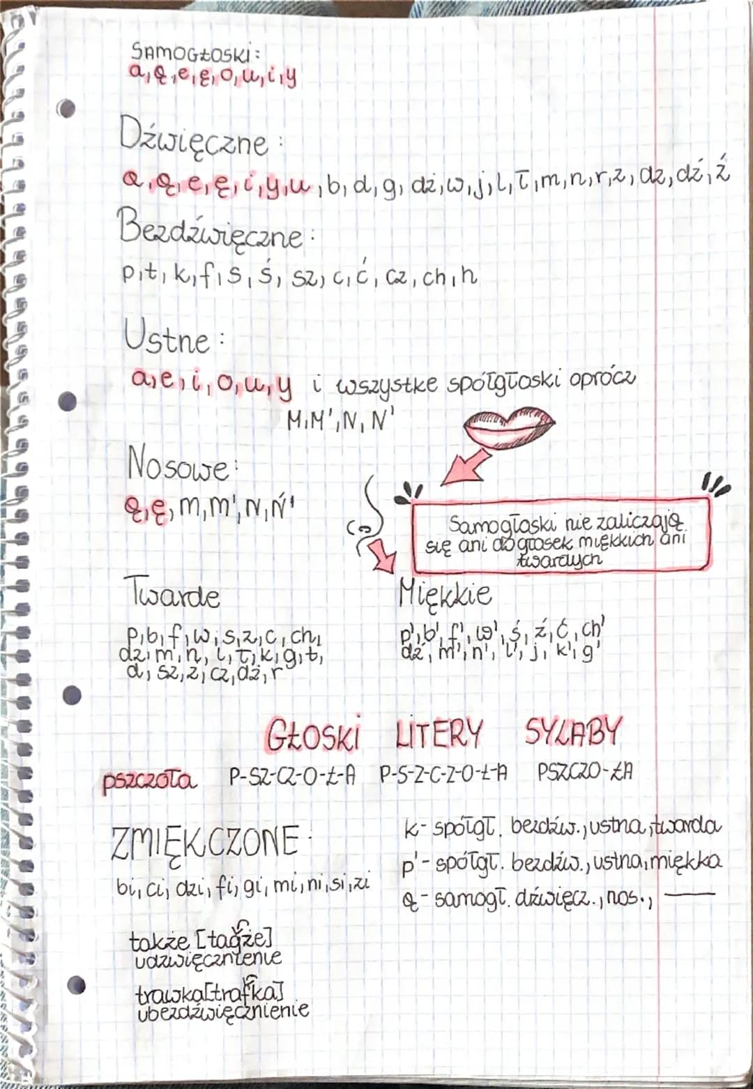 SAMOGŁOSKI:
aqee, o, u, iiy
Dźwięczne:
aqe, e, i, yu, b, d, g, dz, w, j, l, T, m, n, r, z, dz, dź, ź
Bezdźwięczne:
pit, k, fi, s, Ś, sz, c