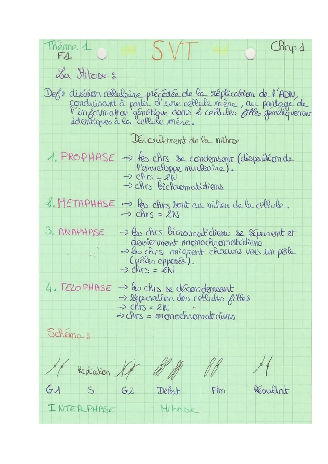 Theme 1
FA
SVT
Chap 1
La Mitose :
Def& division cellulaire précédée de la réplication de l'ADIN,
Conduisant à partir d'une ceflute mère, au
