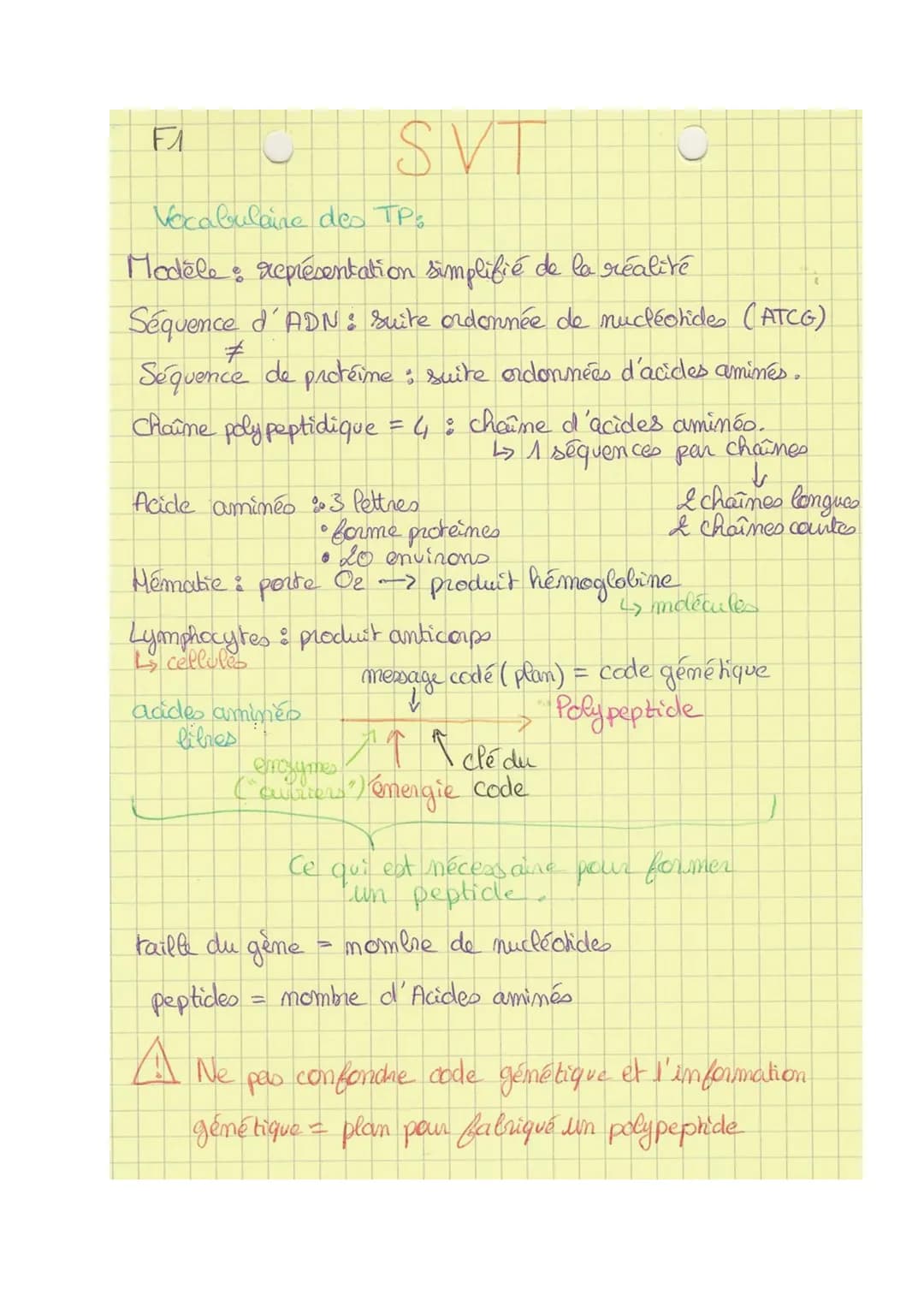 Theme 1
FA
SVT
Chap 1
La Mitose :
Def& division cellulaire précédée de la réplication de l'ADIN,
Conduisant à partir d'une ceflute mère, au