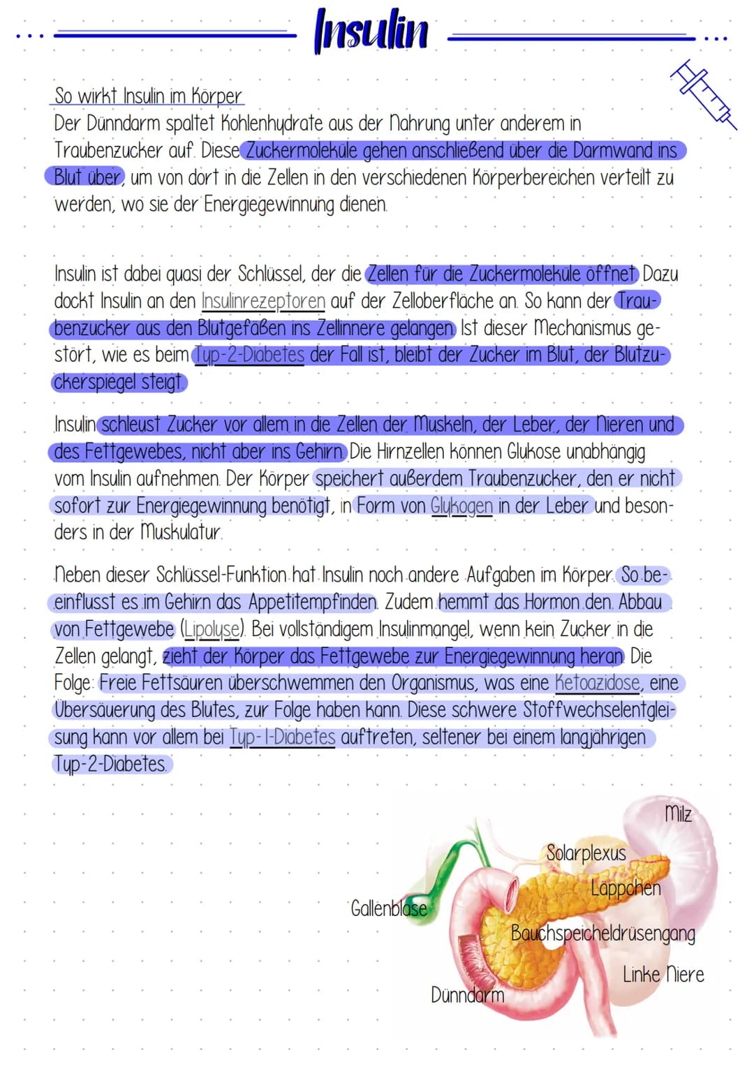 Insulin ### Insulin
So wirkt Insulin im Körper
Der Dünndarm spaltet Kohlenhydrate aus der Nahrung unter anderem in
Traubenzucker auf. Dies