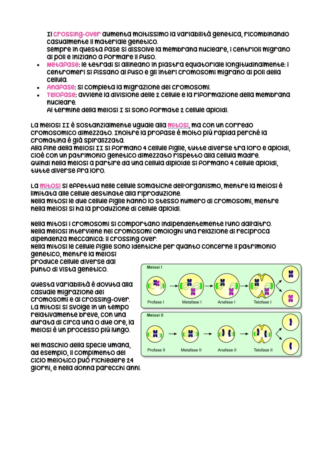 # La divisione cellulare
La divisione cellulare
negli eucarioti può essere
avviene per
scissione binaria
nei procarioti
LEZIONE 1
asess