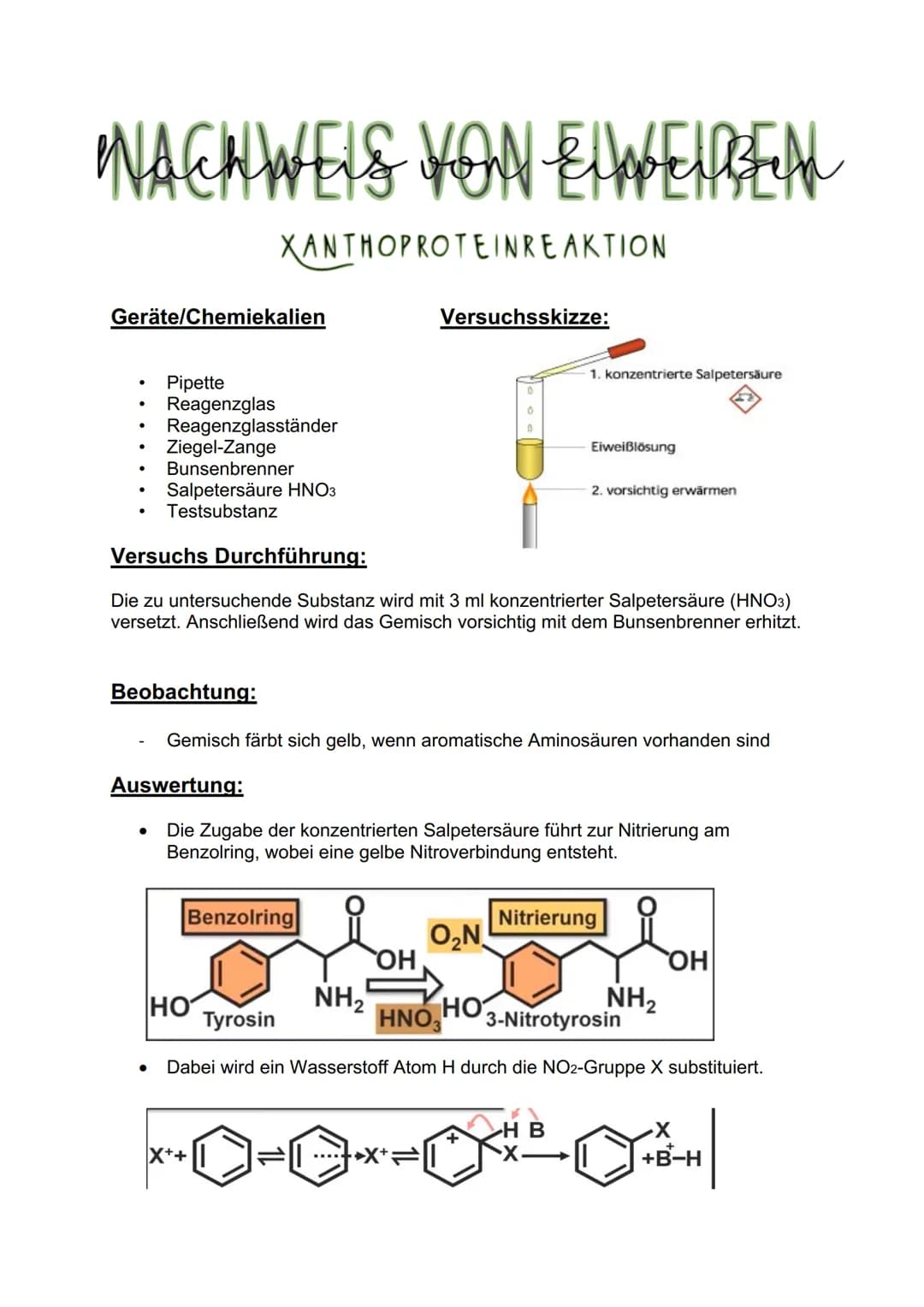 # Nachweis von Eλασειβύη
Eiweißen
BIURETREAKTION
## Geräte/Chemiekalien
Reagenzglas + Stopfen
- Pipette
- Natriumhydroxidlösung
- Kupfe