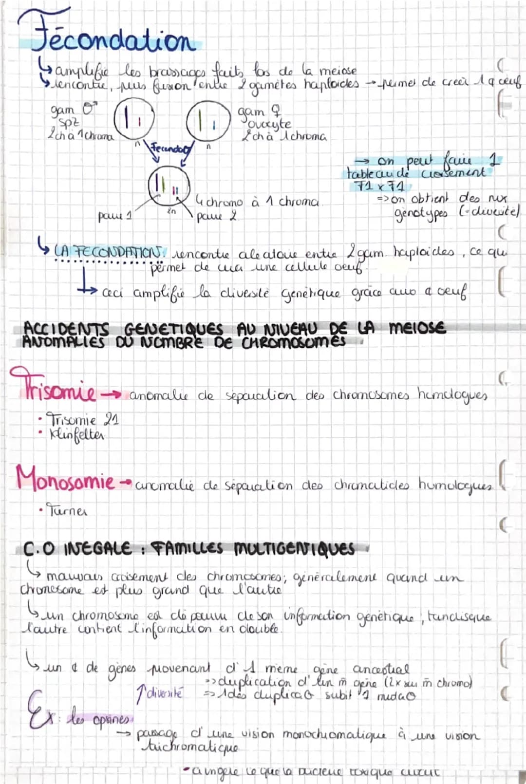 # RRASSAGES GENETIALES DIPALIT JA MEINGE
# L'origine du genotype
DES INDIVIDUS
STABILITE GENETIQUE ET EVOLUTION CLONALE
CYCLE CELLULAIRE: