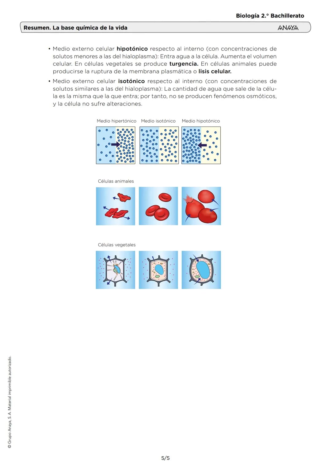 # Resumen. La base química de la vida
Biología 2.º Bachillerato
ANAYA
1. LOS ENLACES QUÍMICOS
Son uniones entre átomos. En los compuestos