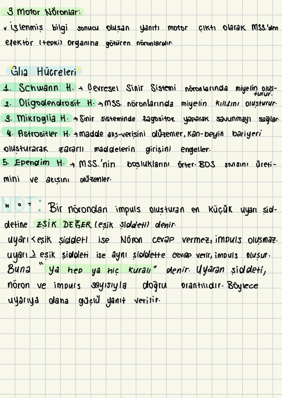 # SİNİR SİSTEMİ
• Sinir sistemi sinir dokulardan oluşur.
Sinir sistemi nucrelerden meydana gelir.
• Sinir dokularına nöron denir.
Sinir hü
