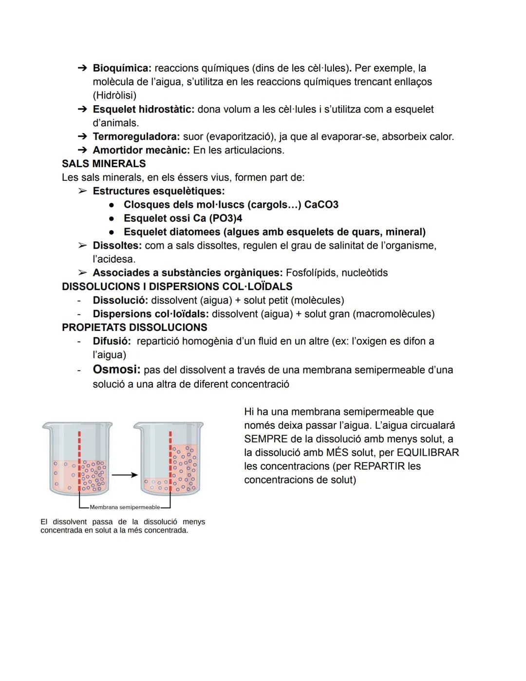 # T1. Composició dels éssers vius
ÉSSERS VIUS:
- Construïts per cèl·lules (unicel./pluricel.)
- Realitzen les 3 funcions vitals (nutrició,