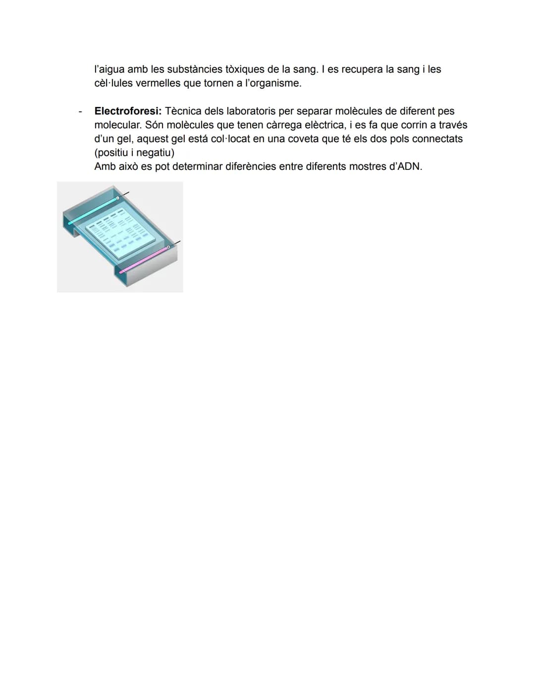 # T1. Composició dels éssers vius
ÉSSERS VIUS:
- Construïts per cèl·lules (unicel./pluricel.)
- Realitzen les 3 funcions vitals (nutrició,
