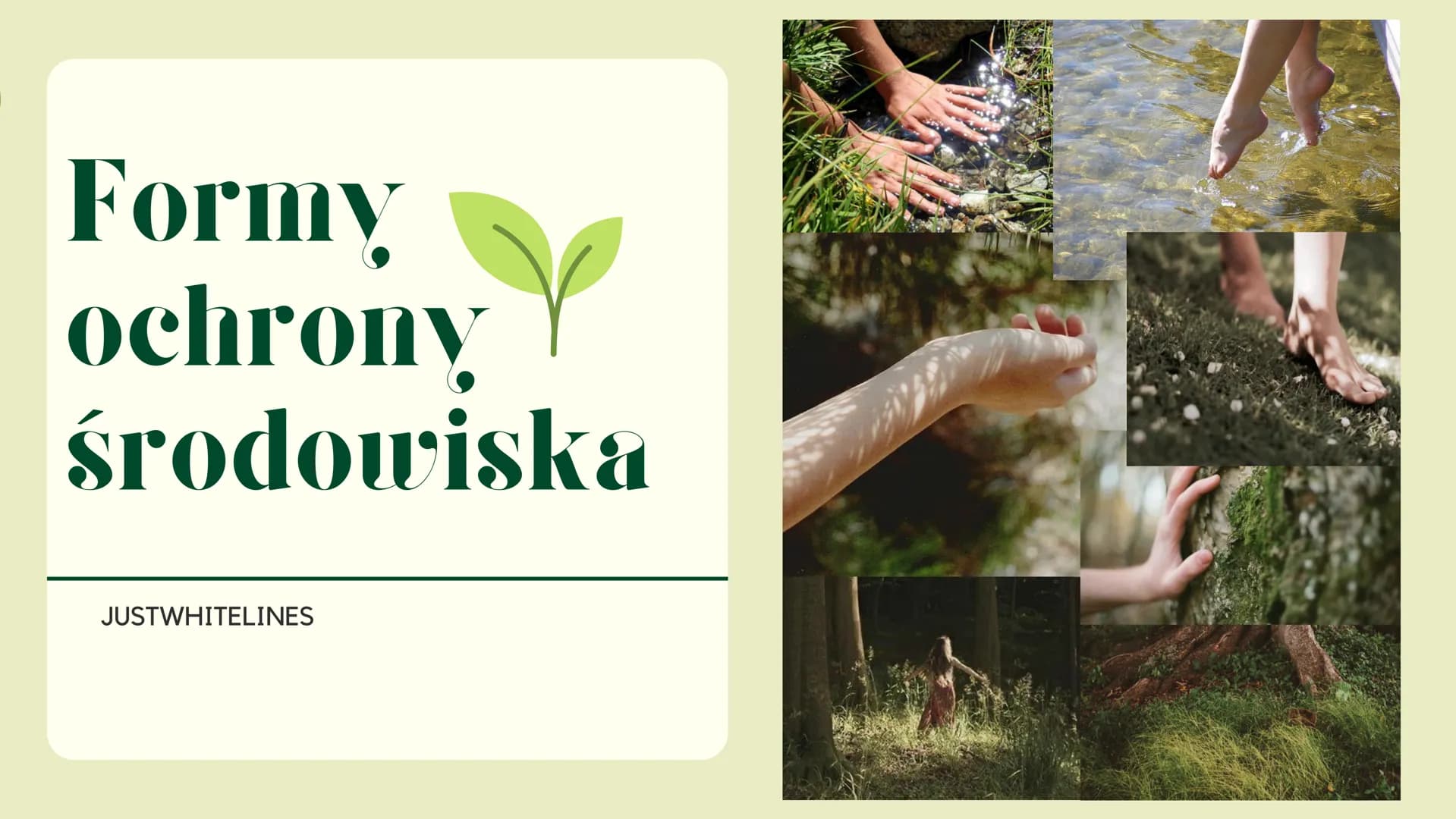 # Formy
ochrony
środowiska
JUSTWHITELINES # Czym jest ochrona środowiska?
Ochrona środowiska
Zespół idei, środków i działań
mających na ce