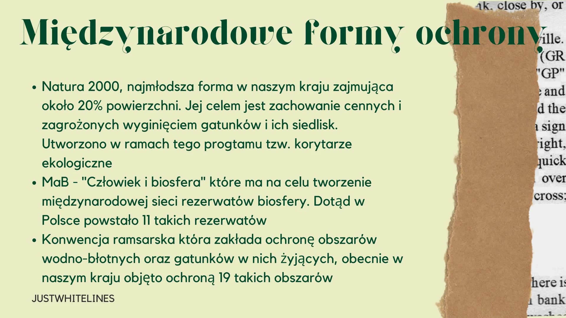 # Formy
ochrony
środowiska
JUSTWHITELINES # Czym jest ochrona środowiska?
Ochrona środowiska
Zespół idei, środków i działań
mających na ce