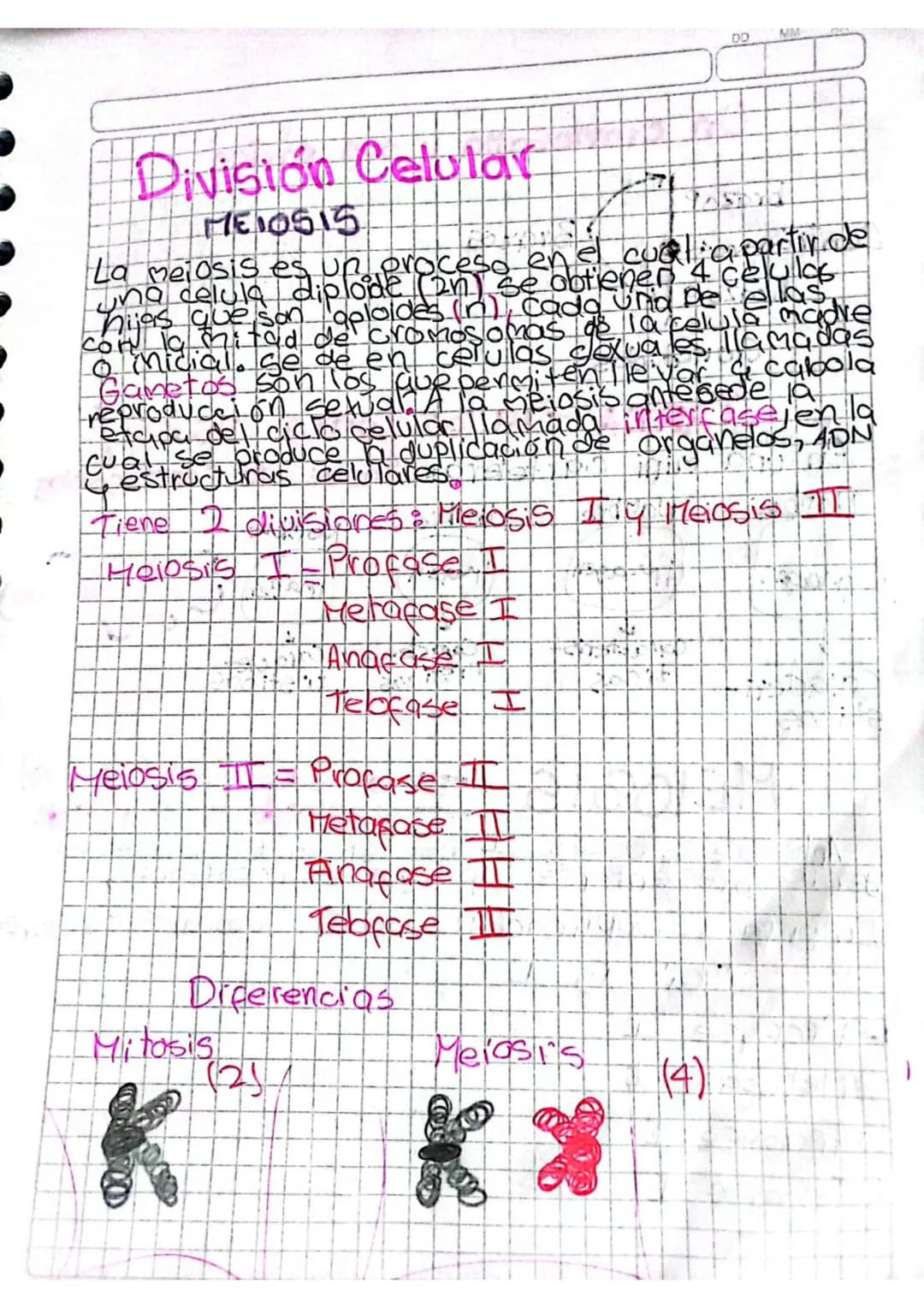 OD
MM
# División Celular
MEIOSIS
La meiosis es un proceso en el cual a partir de
una celula diplode (2n) se obtienen 4 celulas
hijas que son