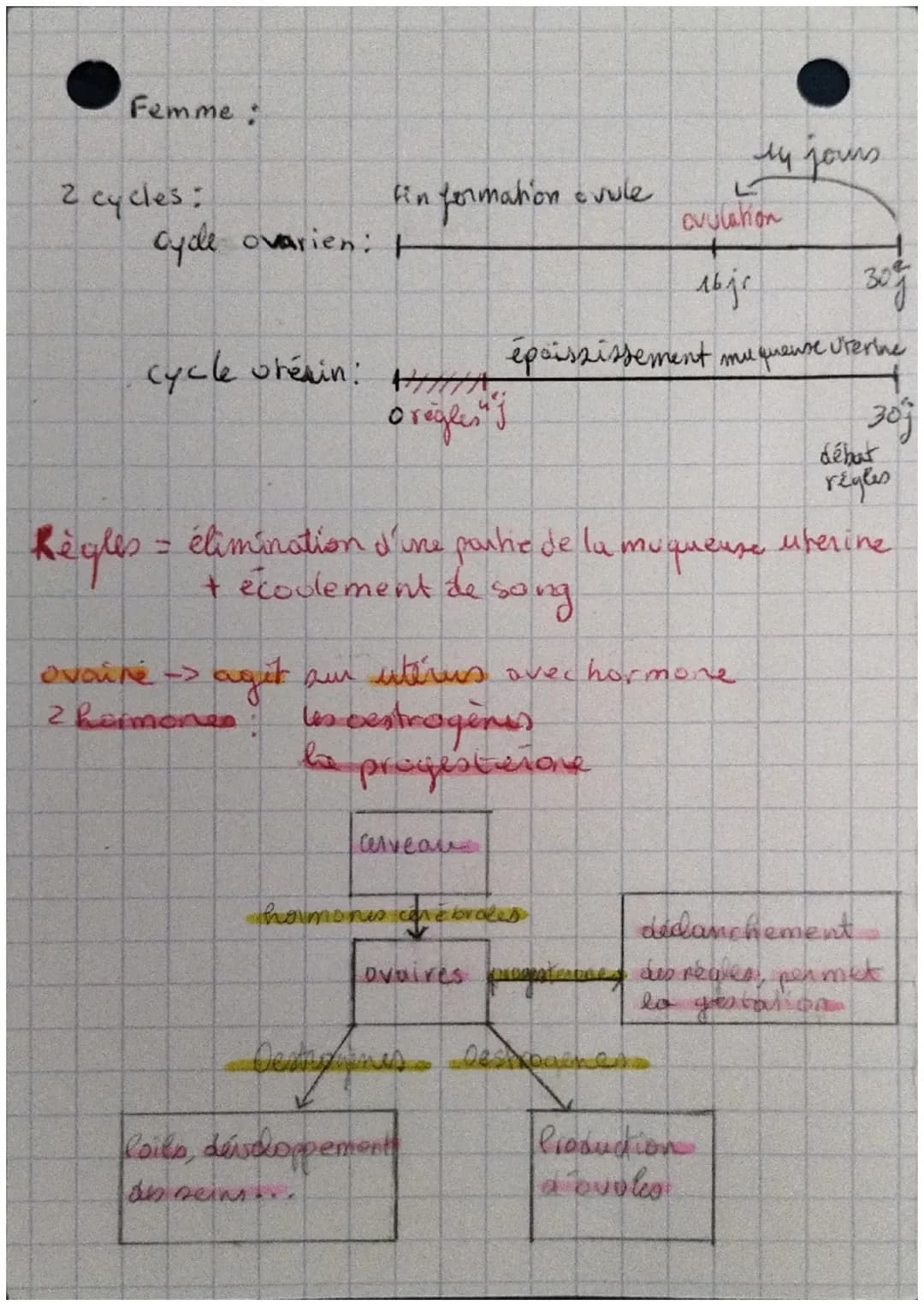 SUT
# lus hormones
hormone = substance chimique fabriquée pou
un organe qui va circuler dans le
sang & ager sur un organe-cible.
cerveau