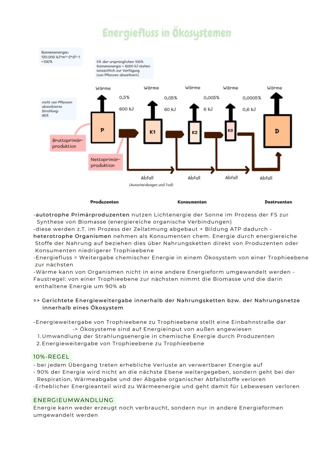 ABITURZUSAMMENFASSUNG
2023
Biologie LK
Ökologie # Umweltfaktoren
ÖKOLOGIE
Wissenschaftliche Erforschungg der Wechselwirkungen von Organ