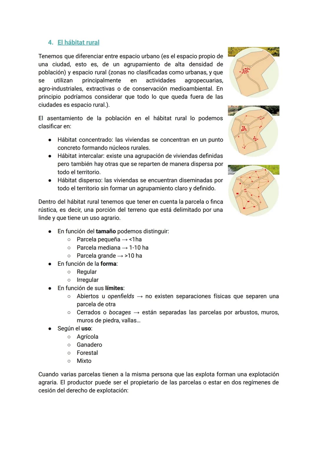 # UD 7. El sector primario: agricultura, ganadería y pesca
1. El sector primario
Este sector comprende todas aquellas actividades que perm