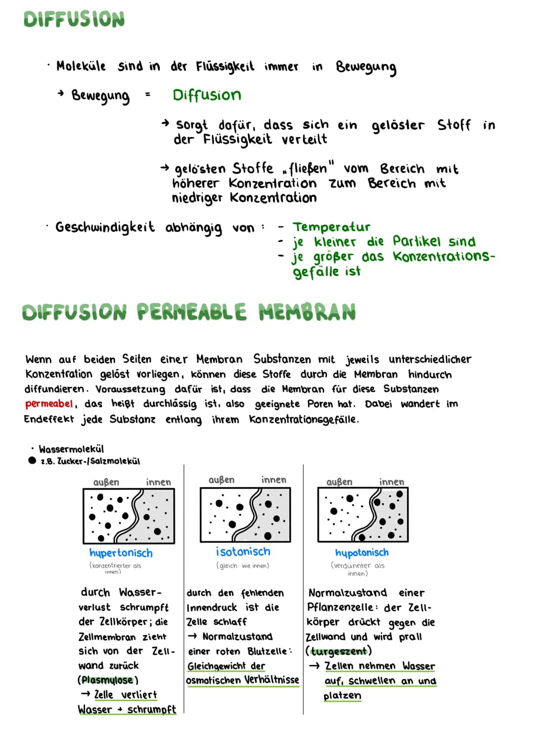 # BIOLOGIE KLAUSUR 18. MARZ
# DIE BIOMEMBRAN & TRANSPORTVORGANGE
Proteinschicht
Lipidschicht
Proteinschicht
integrale Proteine
Hydroph