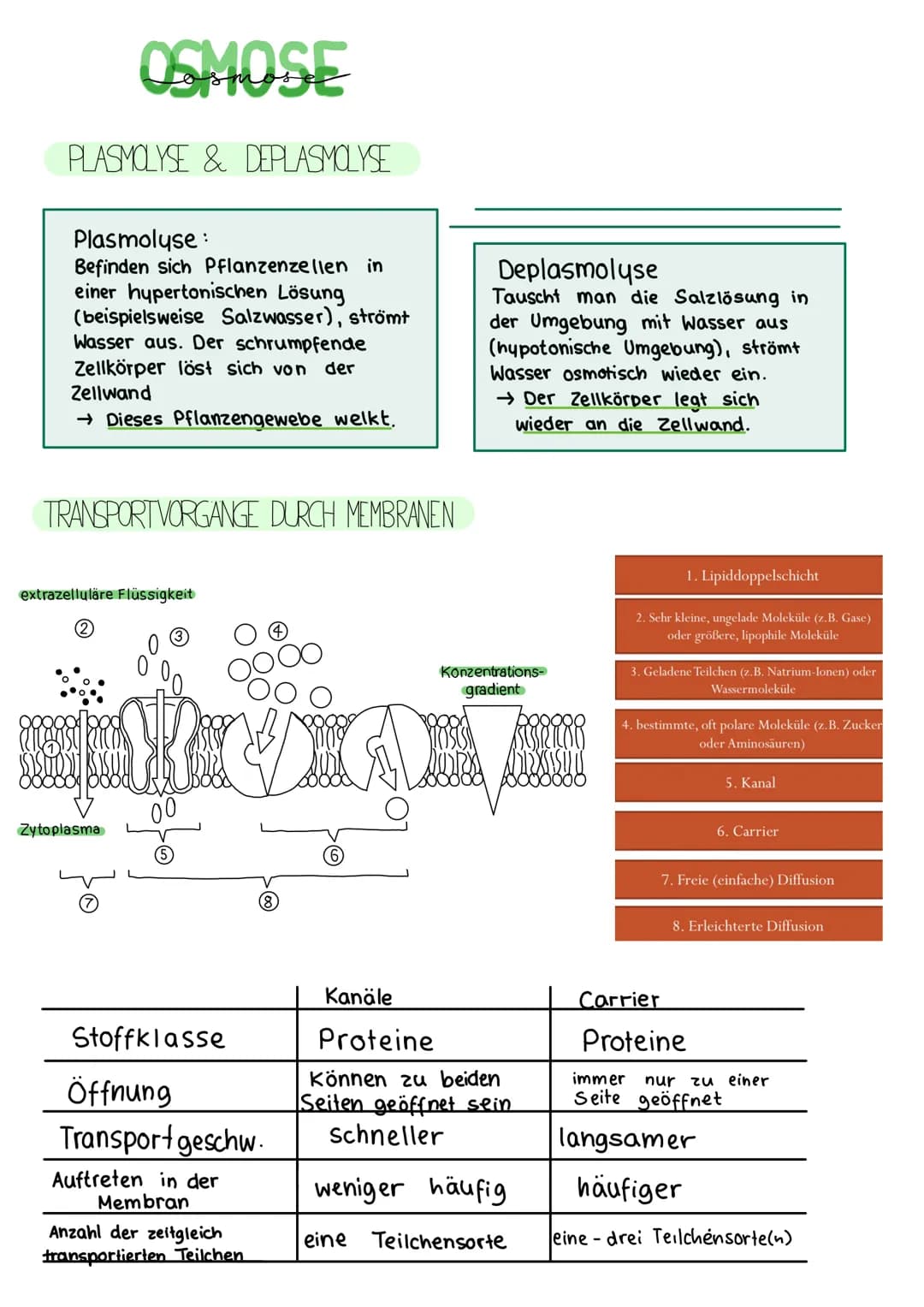 # BIOLOGIE KLAUSUR 18. MARZ
# DIE BIOMEMBRAN & TRANSPORTVORGANGE
Proteinschicht
Lipidschicht
Proteinschicht
integrale Proteine
Hydroph