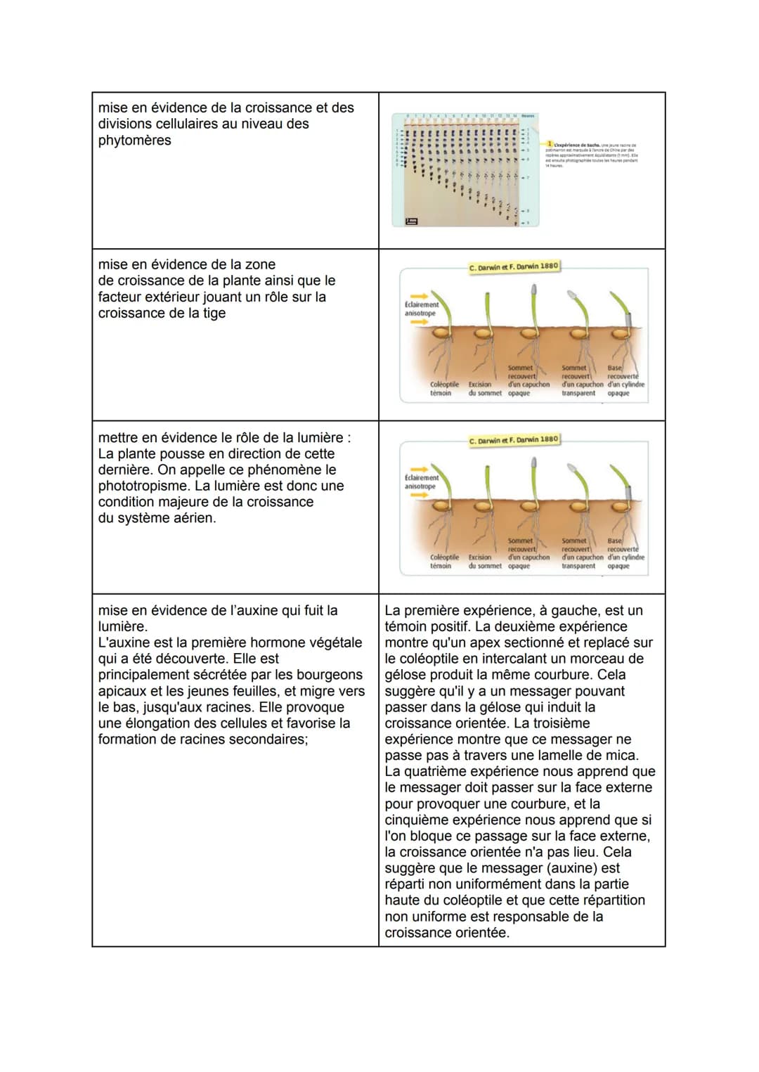 De la plante sauvage à la plante domestiquée
Chap 1: L'organisation fonctionnelle des plantes à fleurs
Les racines possèdent de très
nombr