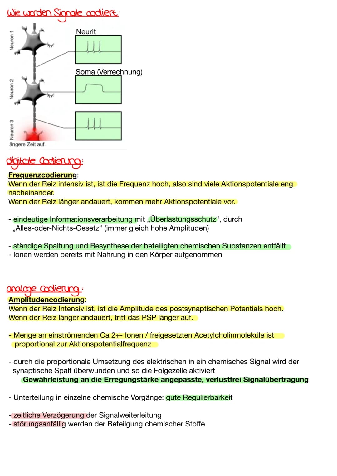 # Wie werden Signale codiert.
Neurit
Neuron 3
Neuron 2
Neuron 1
Soma (Verrechnung)
längere Zeit auf.
digitcile Codierung:
Frequenzco