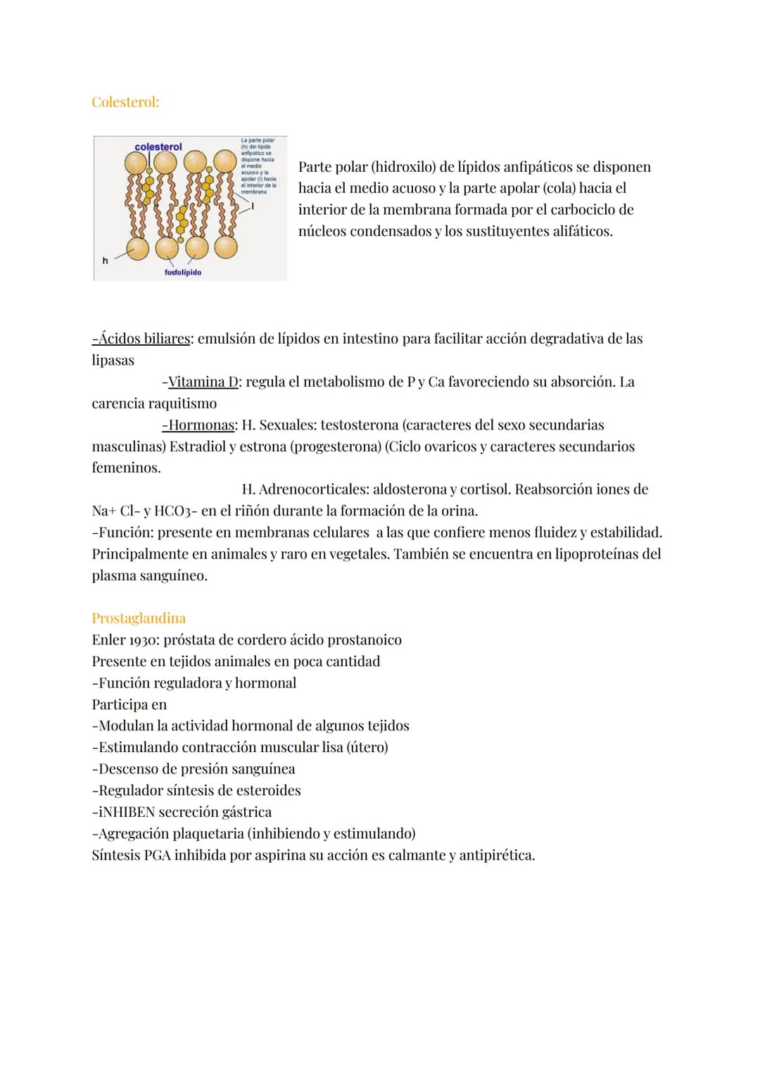 # LÍPIDOS
Brainstorm; grasas, fosfolípidos, esteroides, colesterol, hidrófobas, saturadas, insaturadas,
jabón, energética, aislante térmico,