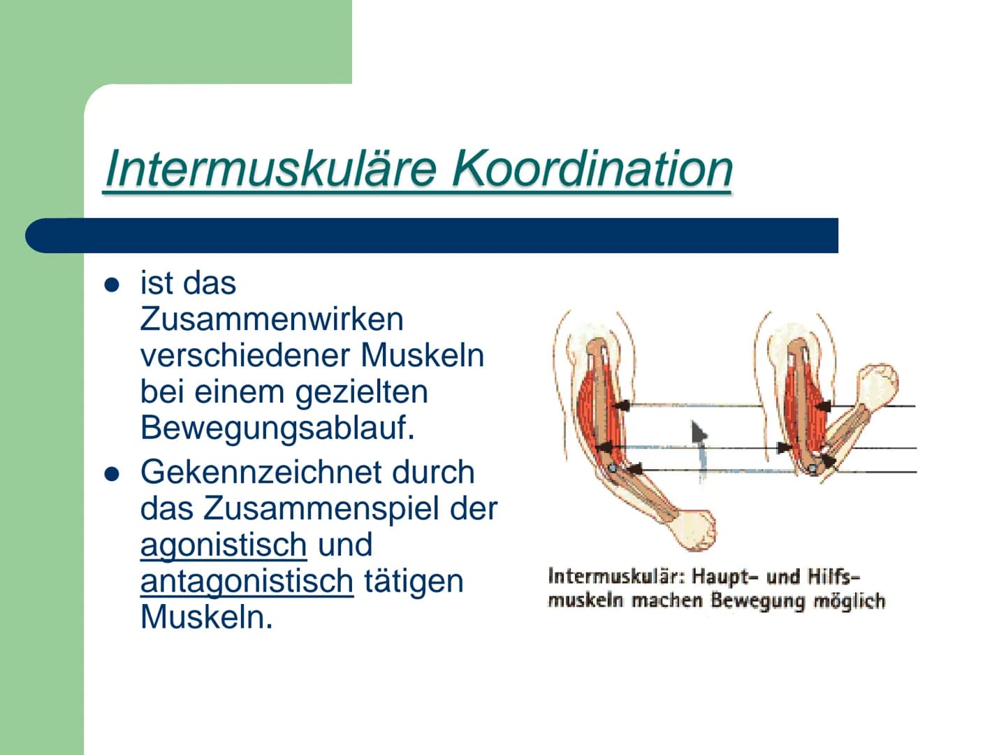 Kraft
ist die Fähigkeit des Nerv-
Muskelsystems, durch
Muskeltätigkeit Widerstände
- zu überwinden,
- ihnen entgegen zu wirken
- bzw. sie zu