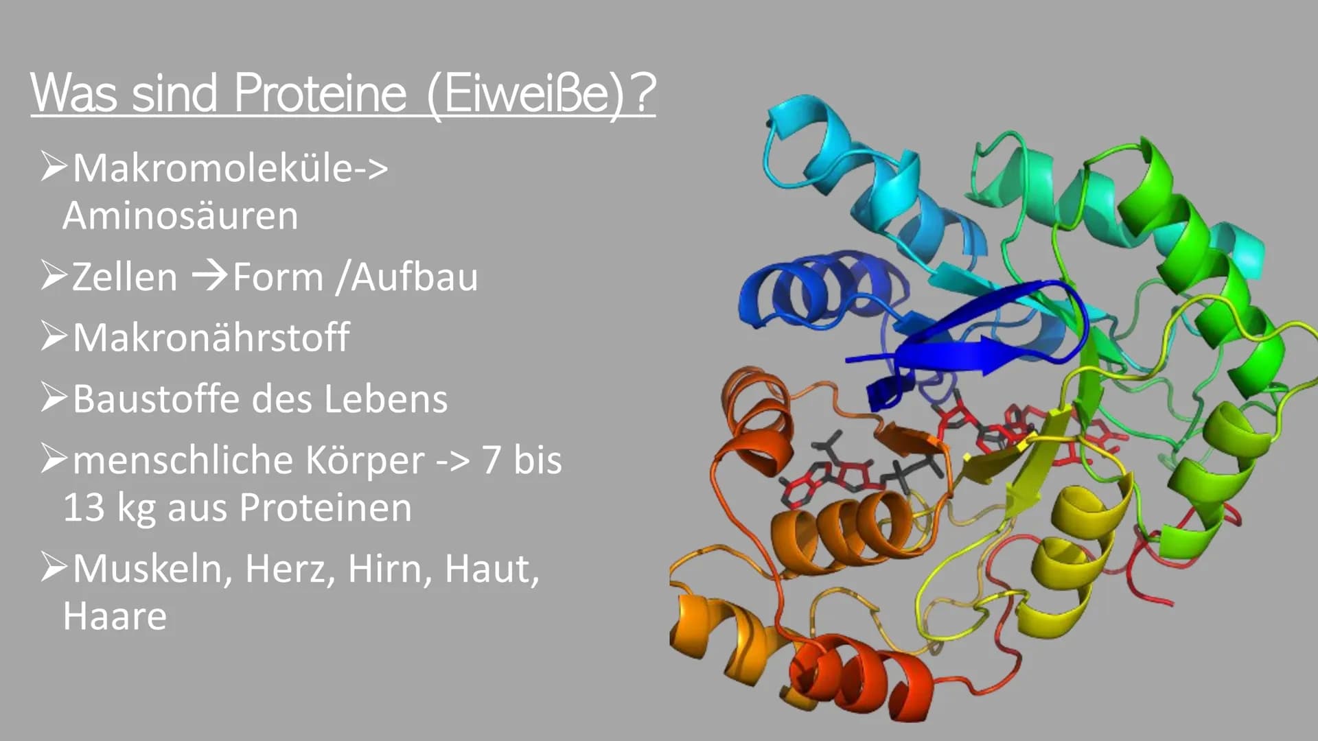 # Die Proteine
Ein Referat von Jana, Sophie, Luca und Leonard Was euch heute erwartet
Was sind Proteine?
Was ist eine
Aminosäure?
Aufgab