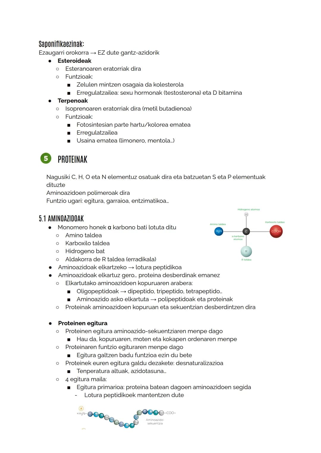 # MATERIA BIZIDUNAREN KONPOSIZIOA
1.1 Izaki bizidunak definitzen dituzten ezaugarriak
Berdintasuna:
* Kimikoa: osaketa molekularra berdin