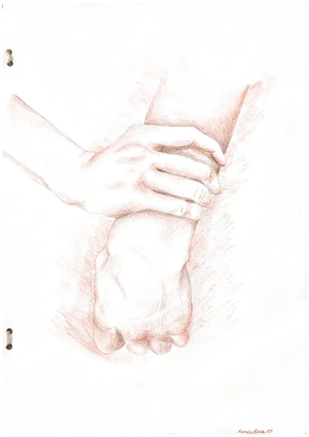 # Michael M.
HENSLEY
cobured
pencils
Works with many different backgroundo
Brown, white and grey
Imagery of a skinless hand is already a