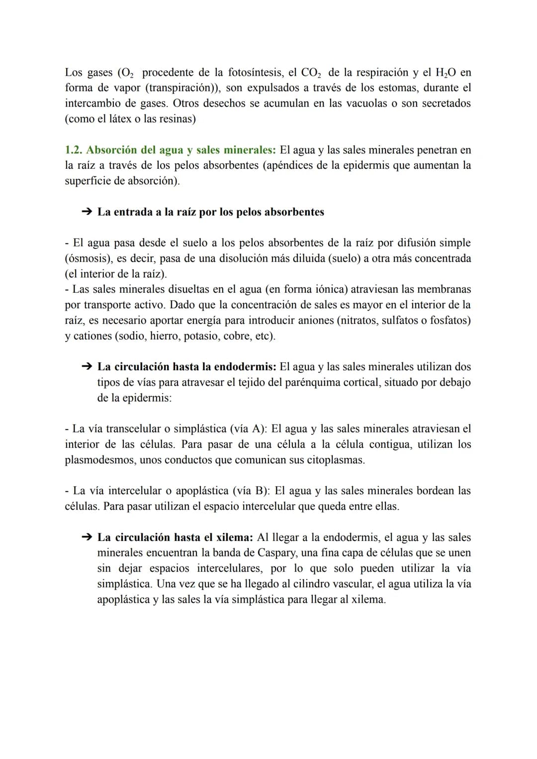 # T-7: Las funciones vitales de las plantas
1. Función de nutrición en plantas
Las plantas tienen nutrición autótrofa. Mediante la fotosínt