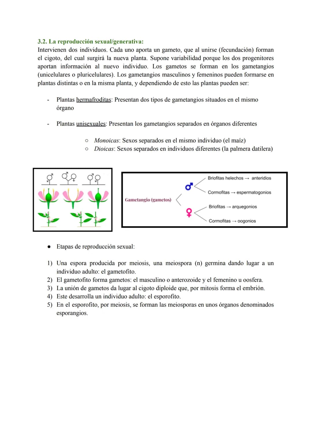 # T-7: Las funciones vitales de las plantas
1. Función de nutrición en plantas
Las plantas tienen nutrición autótrofa. Mediante la fotosínt
