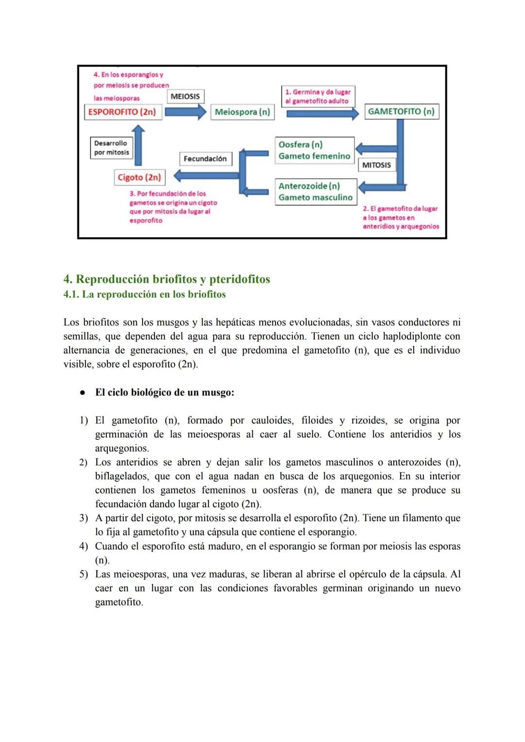# T-7: Las funciones vitales de las plantas
1. Función de nutrición en plantas
Las plantas tienen nutrición autótrofa. Mediante la fotosínt