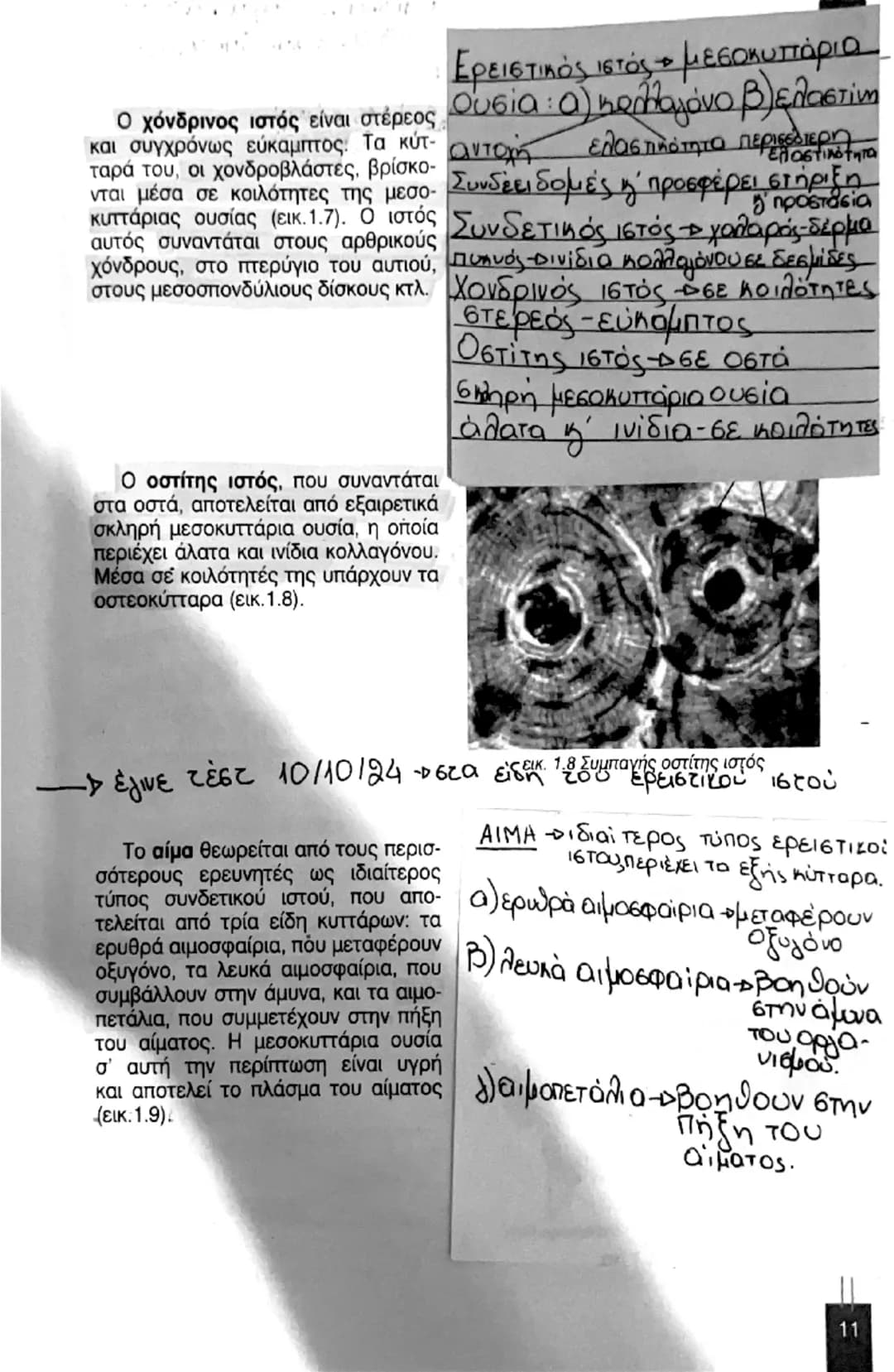 # ΒΙΟΛΟΓΙΑ Α' ΛΥΚΕΙΟΥ
# 1. ΑΠΟ ΤΟ ΚΥΤΤΑΡΟ ΣΤΟΝ ΟΡΓΑΝΙΣΜΟ.
## ΚΥΤΤΑΡΑ ΚΑΙ ΙΣΤΟΙ
23-09-24
Κεφάλαιο 1
Ο ανθρώπινος οργανισμός συνί
σταται από τ
