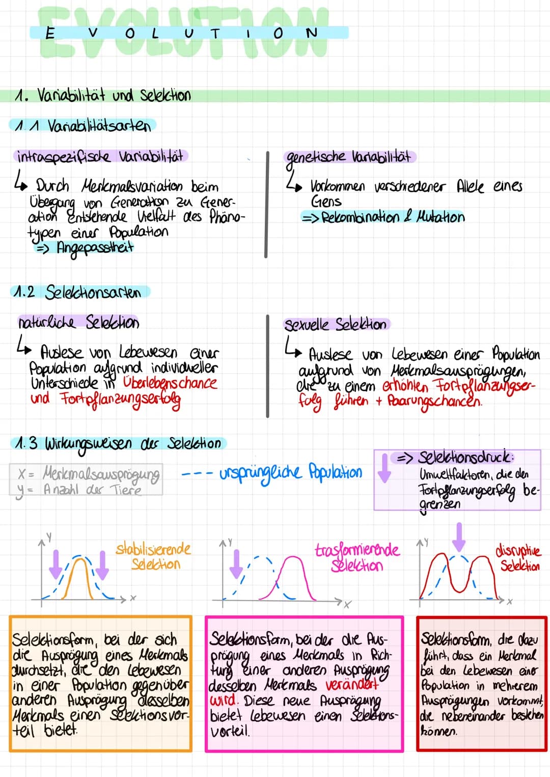 # EVOLUTION
1. Variabilität und Selection
1. 1 Variabilitätsarten
intraspezifische Variabilität
Durch Merkmalsvariation beim
Übergang vo