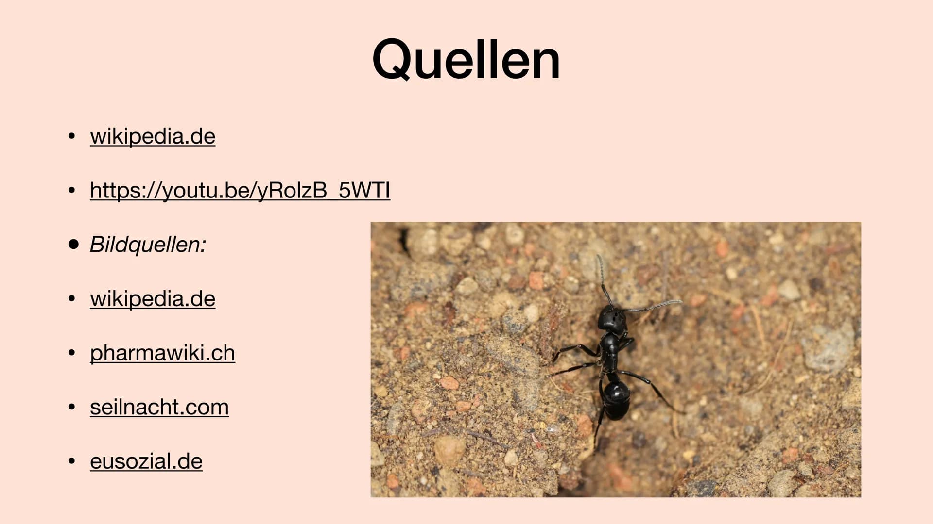 # Ameisensäure # Geschichte der Ameisensäure
• Einige Naturalisten und Alchemisten beobachteten Anfang des 15.
Jahrhunderts, wie Ameisen ei