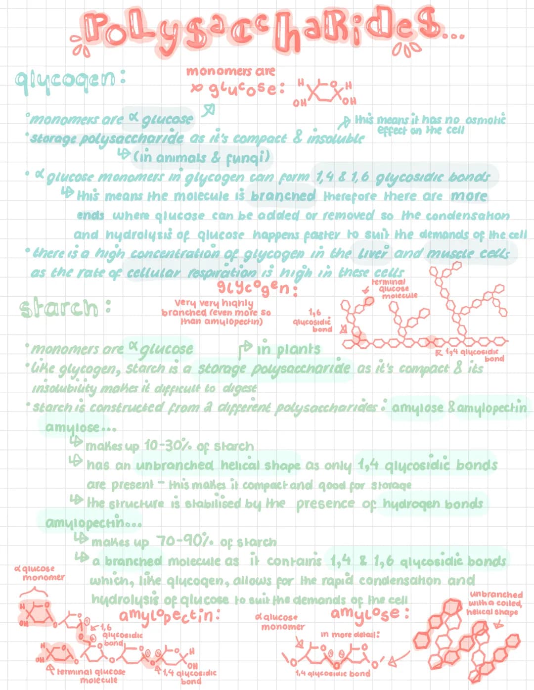 # Polysaccharides....
glycogen:
monomers care
glucose:
$
H$
OH
$
H$
OH
this means it has no osmotie
monomers are & glucose
storage