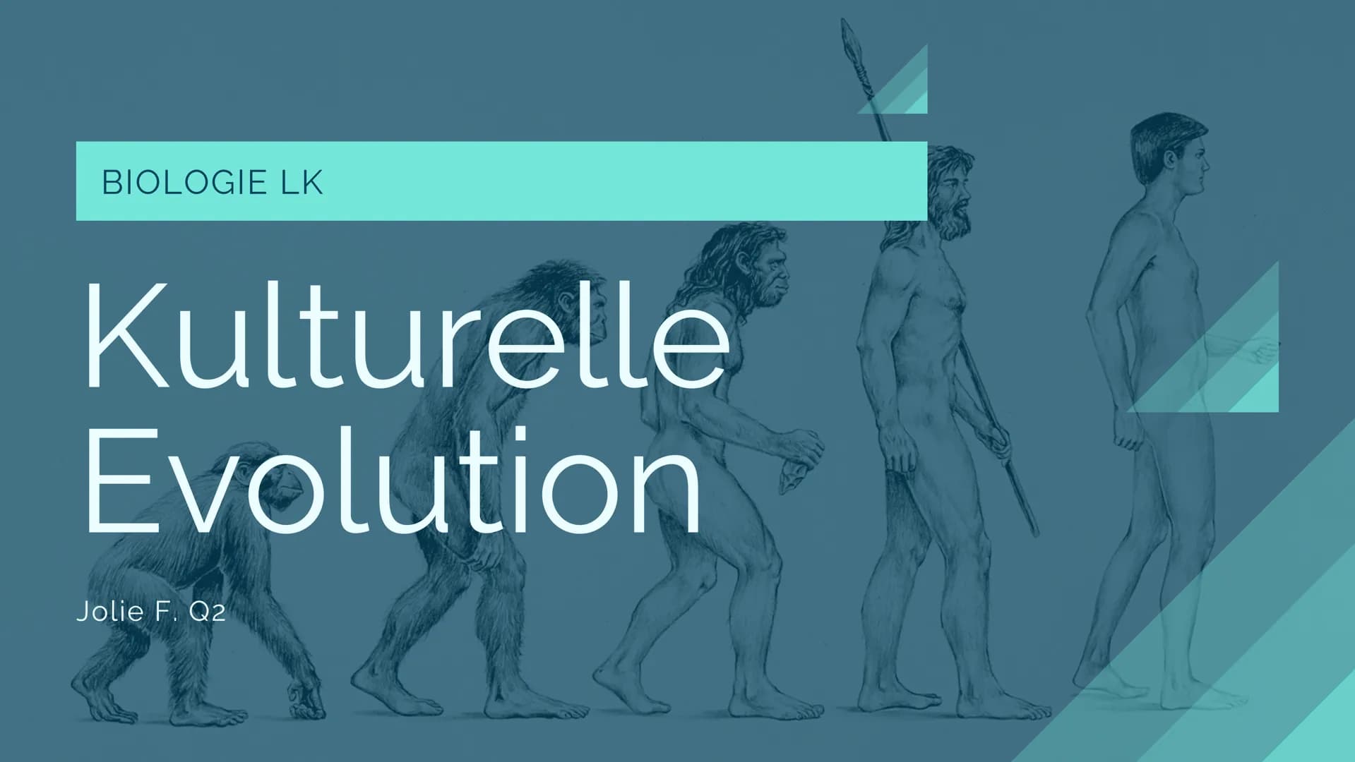 # BIOLOGIE LK
# Kulturelle
# Evolution
Jolie F. Q2 bbeville
Priem (Grotte
de Eglise
4. Schabes (Grotte
de felisc
3. Speerspitze (Volgu)
11